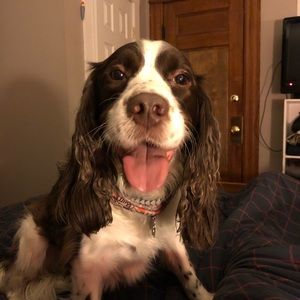 Meet your Posher, Brad